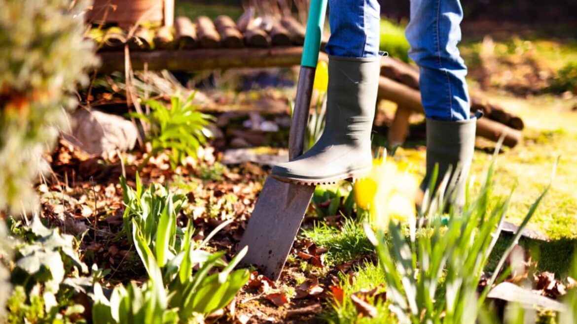 Boden umgraben: Tipps für Hobbygärtner