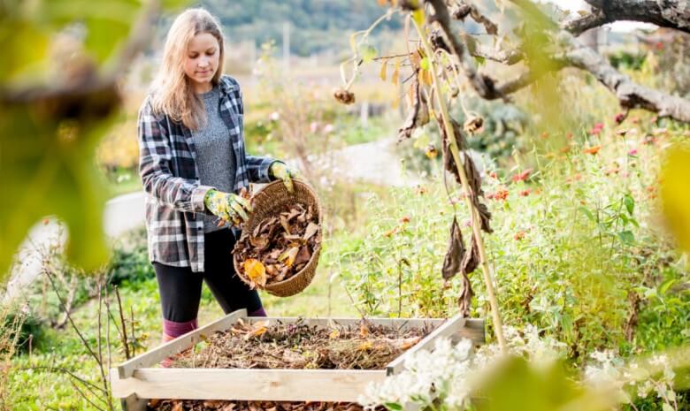 Herbstlaub im Komposthaufen