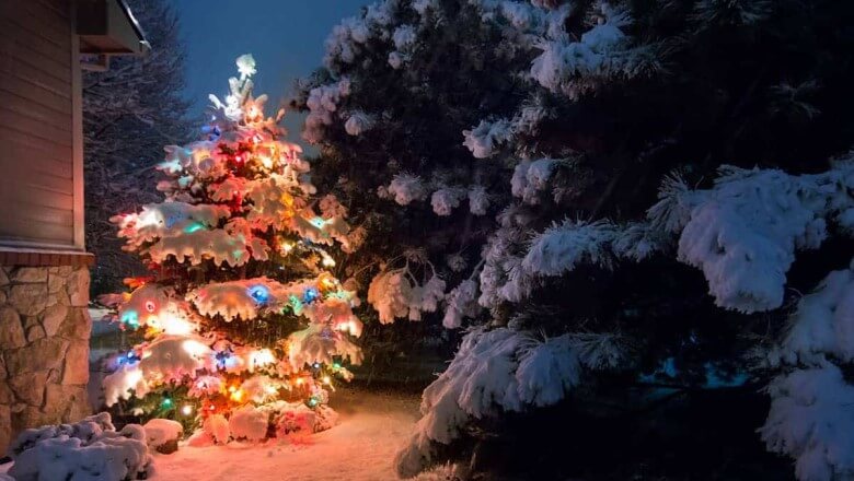 Garten weihnachtlich dekorieren: Weihnachtsbaum im Garten
