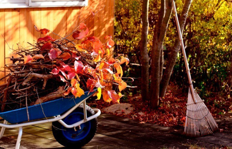 Laubblätter im Herbst zusammenkehren