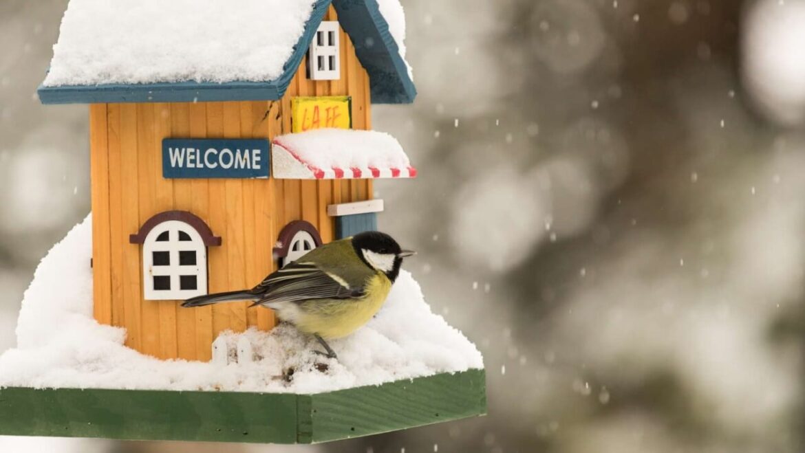 Futterhaus für Vögel