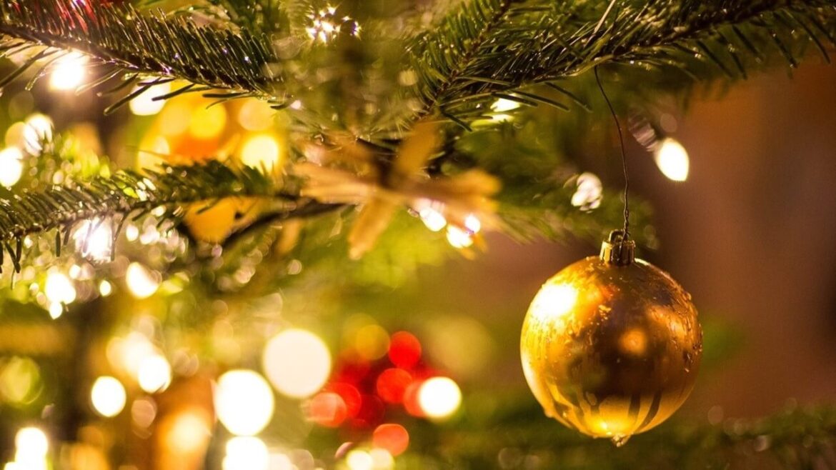 Weihnachtsbaum kaufen: Darauf solltest Du achten