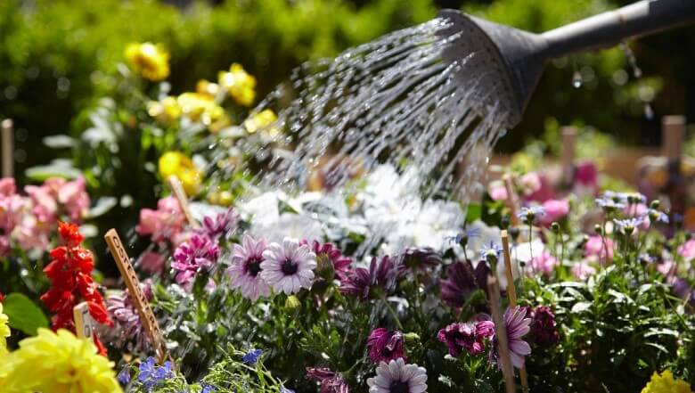 Standorte für das Blumenbeet