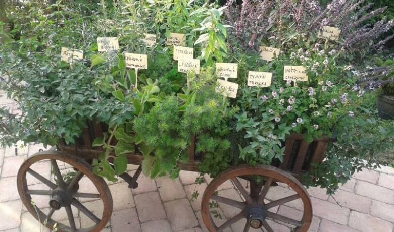 Garten Deko Ideen: Alter Handwagen als Kräutergarten