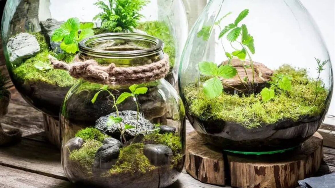 Flaschengarten anlegen: Tipps und Anleitung