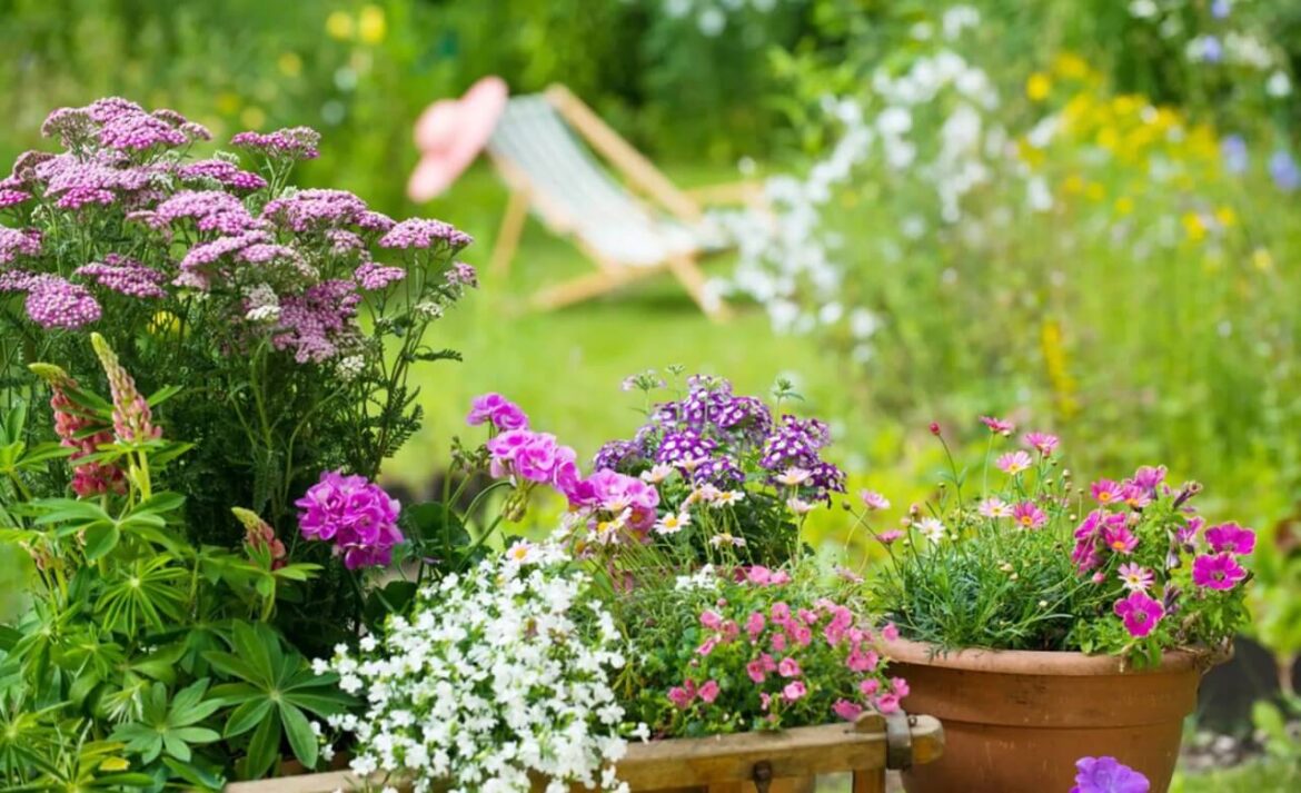 Pflanzen im Urlaub bewässern: 5 Tipps für Deine Urlaubszeit