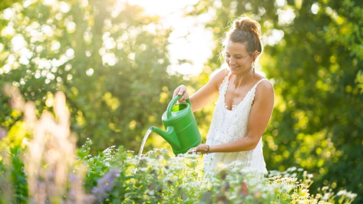 Gartenarbeiten im Juli: Diese Aufgaben musst Du im Hochsommer erledigen