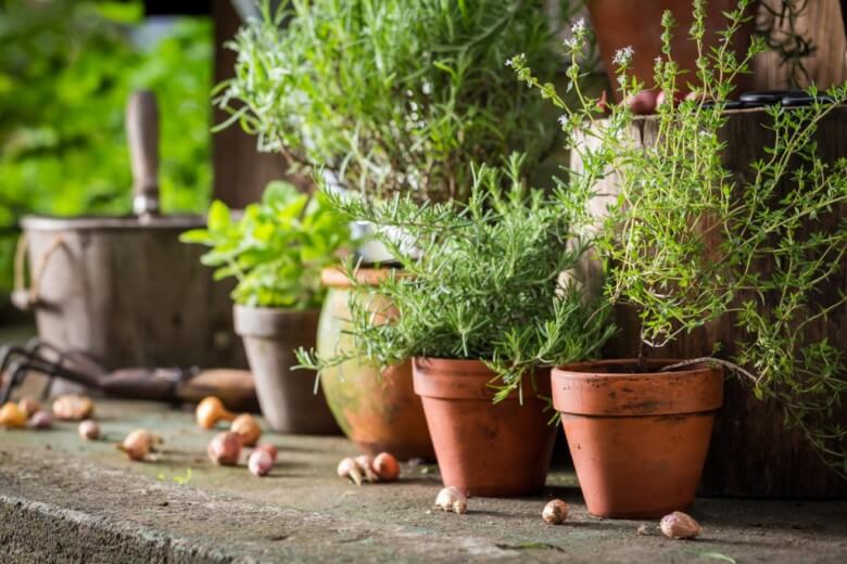 Mediterrane Küche: Kräuter, Öle und Gewürze als Deko