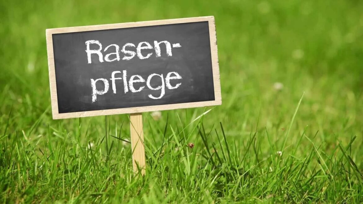 So musst Du den Rasen im Frühjahr pflegen Rasenpflege im Frühjahr: Die ersten Schritte für Hobbygärtner