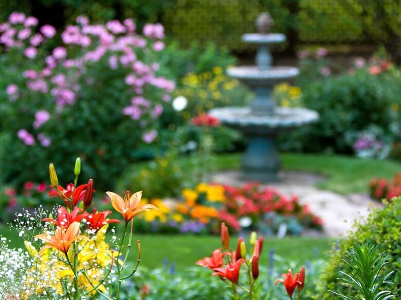 Schöner Garten: Blumenwiesenmischungen