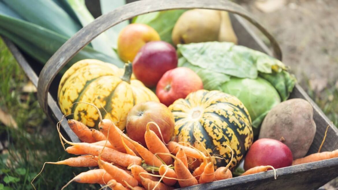 Herbstgemüse: Nutze Deinen Garten im Herbst