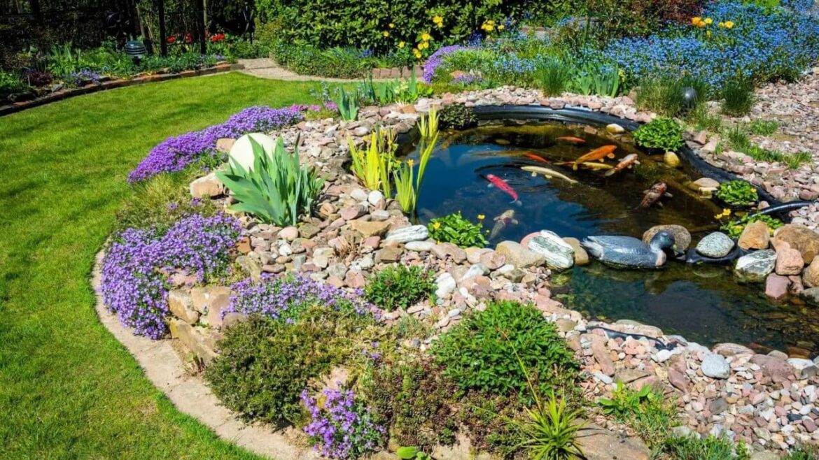 Koi Teich: So legst Du ihn richtig an