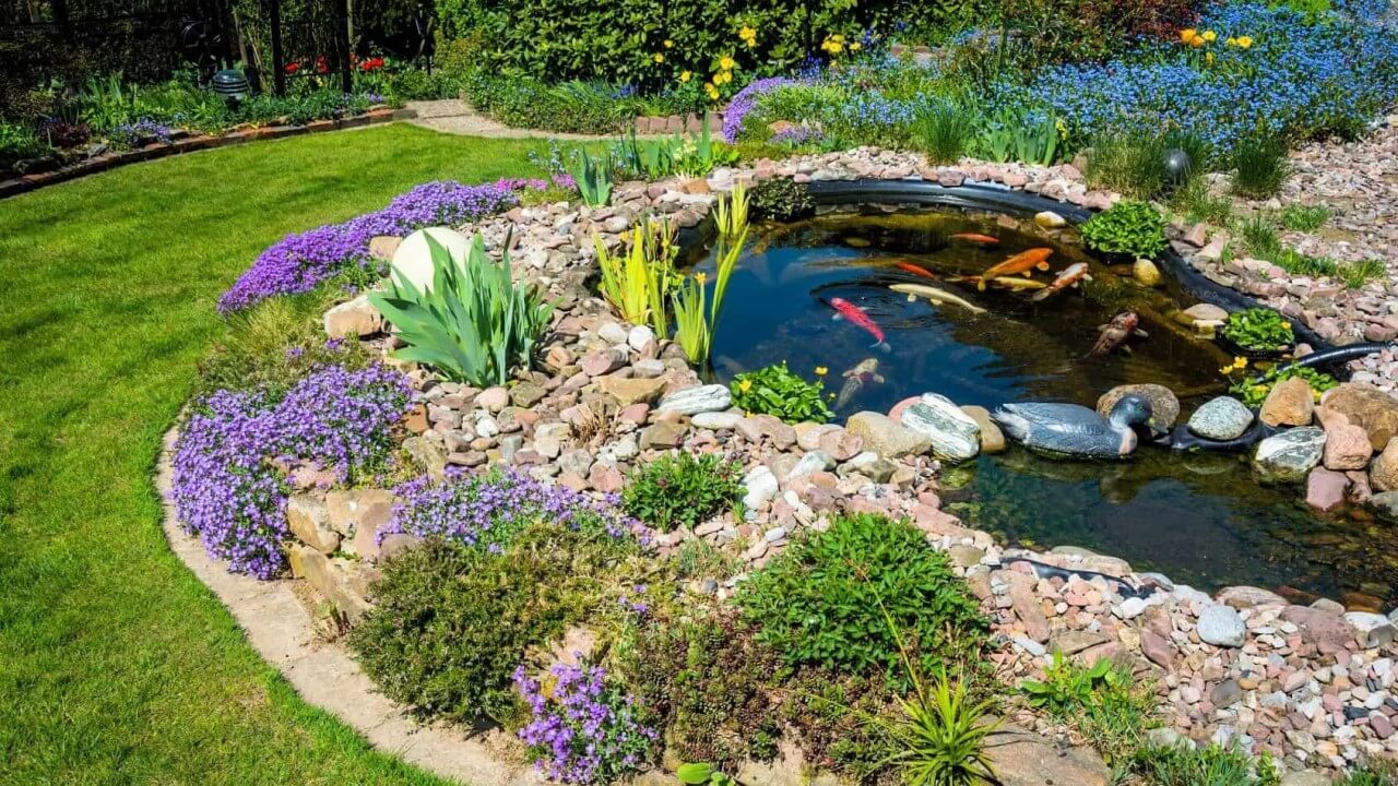 Koi Teich: So legst Du ihn richtig an