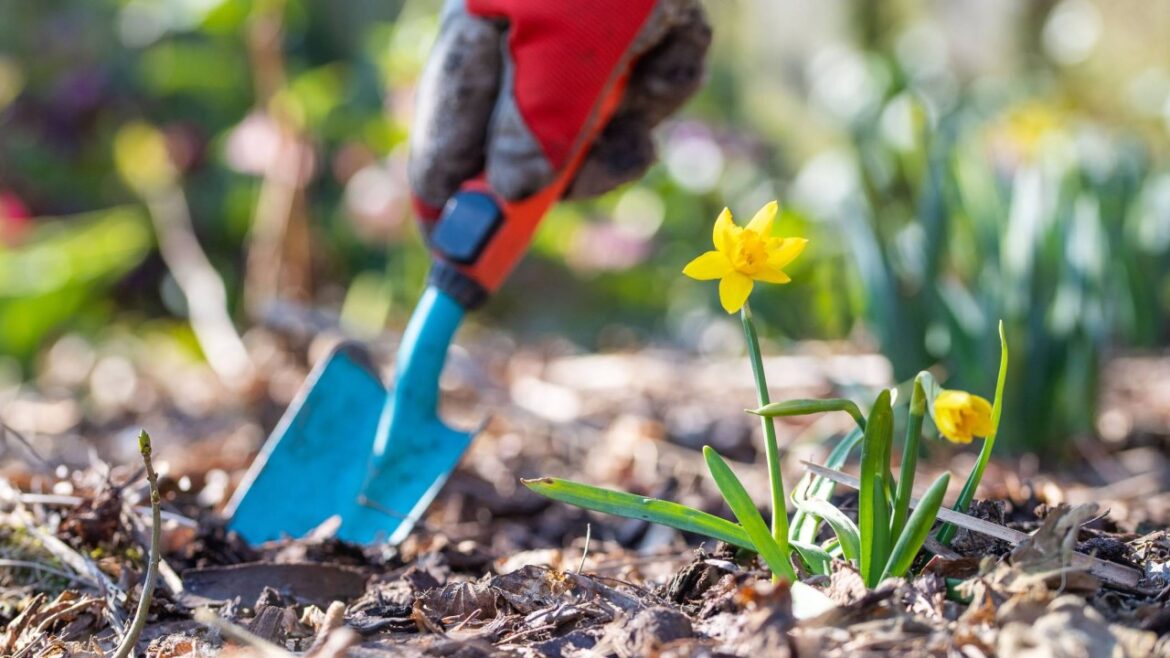 Gartenarbeiten im März: Das solltest Du noch diesen Monat tun