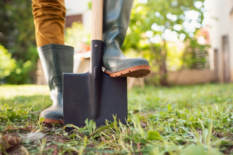Gartenarbeiten im März: Rasenpflege