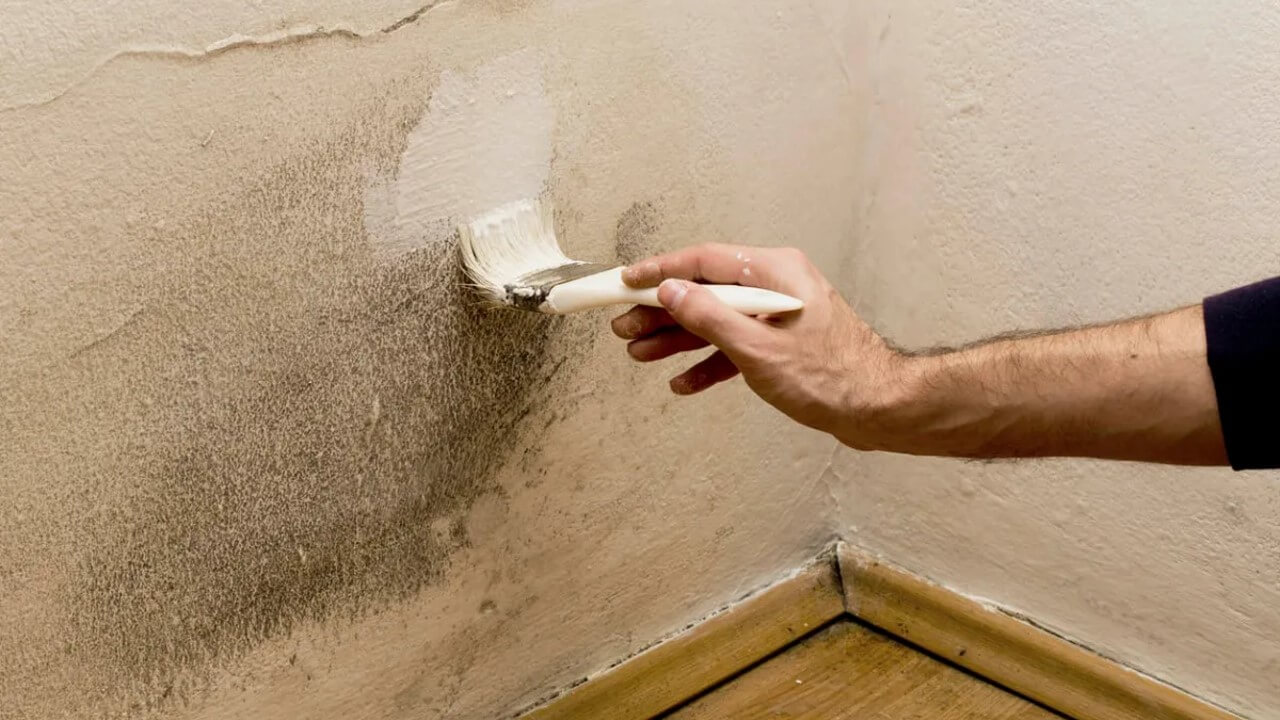 Schimmel verhindern - Effektive Tipps und Tricks